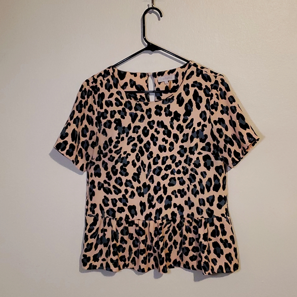 Leopard Print Top - image 1